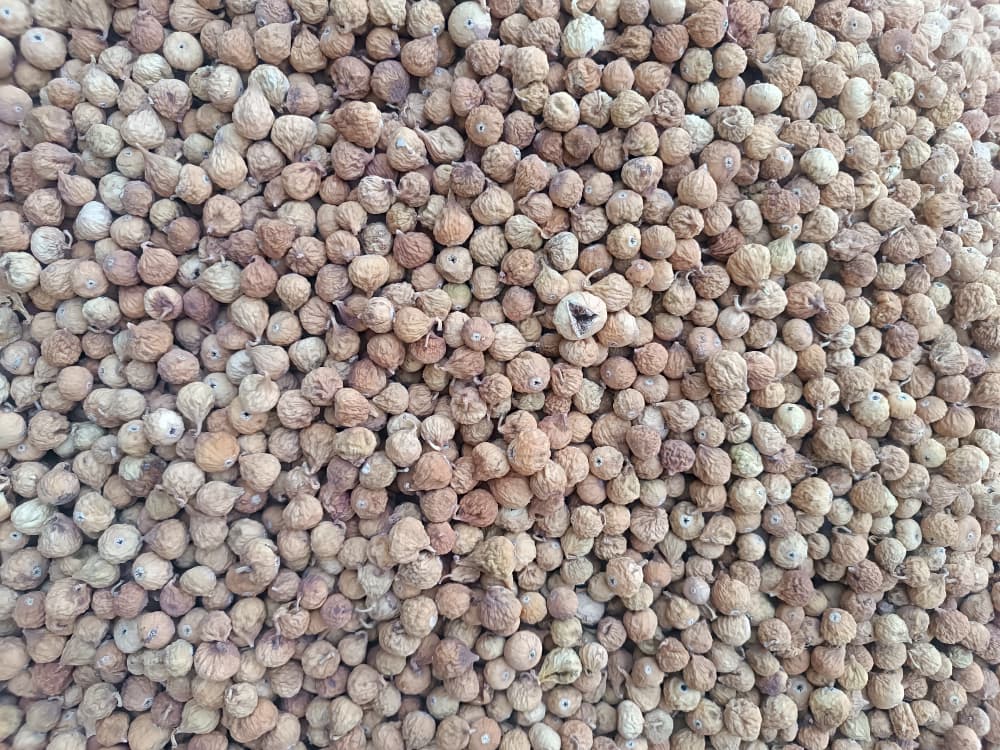 تصویر 1 از سفارش انلاین انجیر قهوه ای متوسط (AA) + قیمت رقابتی
